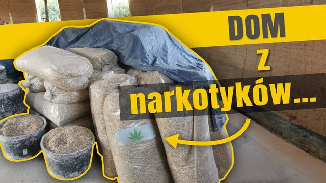 Film na YouTube: Dom z konopi — legalny?